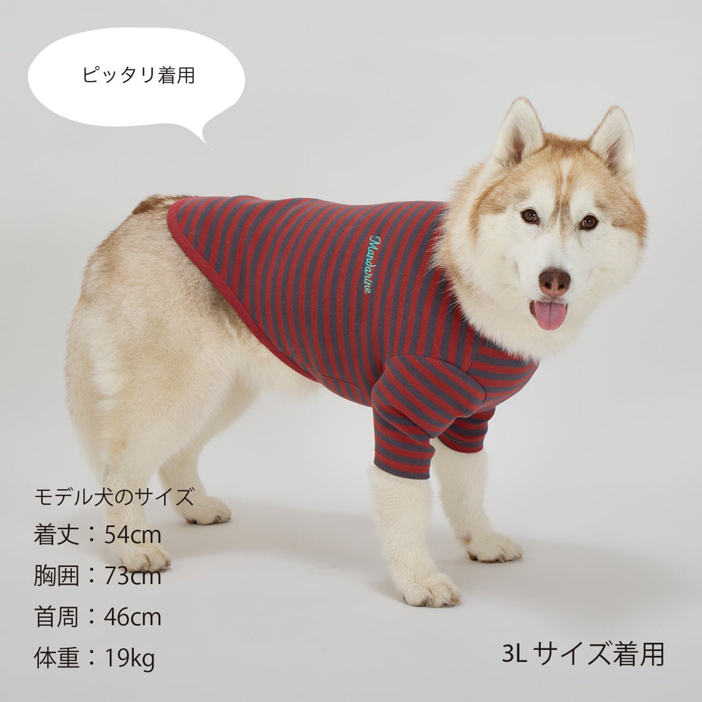 NEW マンダリンブラザーズ 防虫 ボーダーTシャツ レトロ ヴィンテージ ドッグウェア 犬服 男の子 女の子 おしゃれ MANDARINE BROTHERS