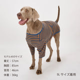 NEW マンダリンブラザーズ 防虫 ボーダーTシャツ レトロ ヴィンテージ ドッグウェア 犬服 男の子 女の子 おしゃれ MANDARINE BROTHERS