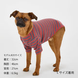 NEW マンダリンブラザーズ 防虫 ボーダーTシャツ レトロ ヴィンテージ ドッグウェア 犬服 男の子 女の子 おしゃれ MANDARINE BROTHERS