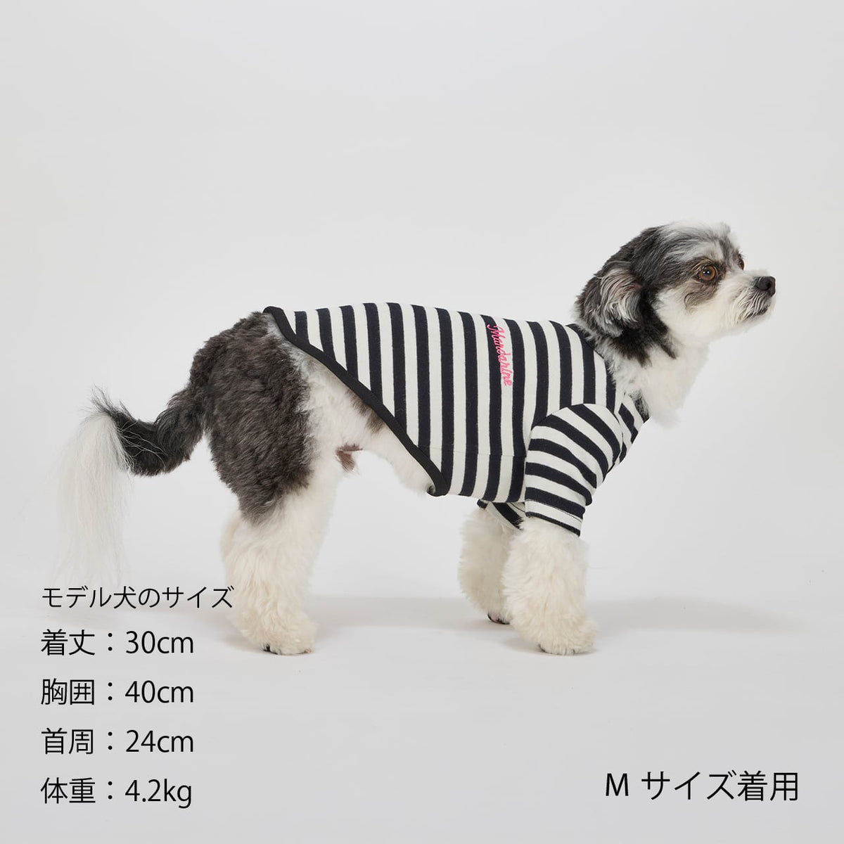NEW マンダリンブラザーズ 防虫 ボーダーTシャツ レトロ ヴィンテージ ドッグウェア 犬服 男の子 女の子 おしゃれ MANDARINE BROTHERS