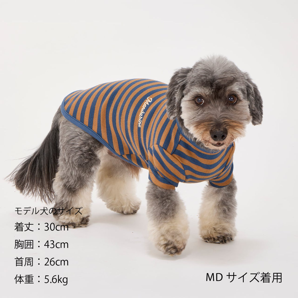 NEW マンダリンブラザーズ 防虫 ボーダーTシャツ レトロ ヴィンテージ ドッグウェア 犬服 男の子 女の子 おしゃれ MANDARINE BROTHERS