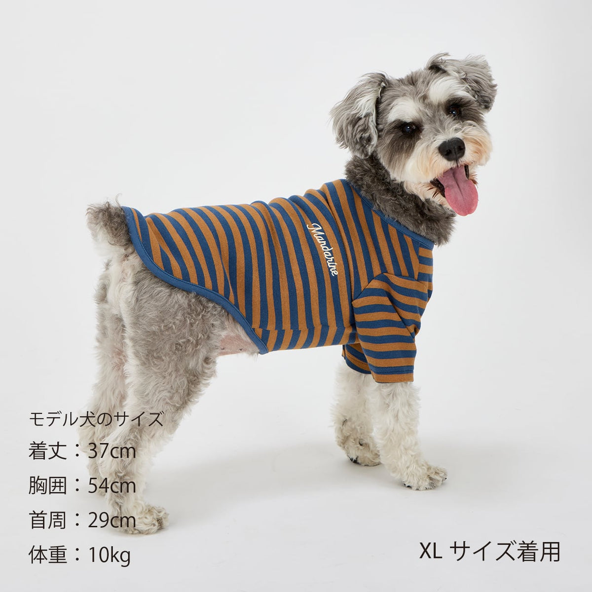 NEW マンダリンブラザーズ 防虫 ボーダーTシャツ レトロ ヴィンテージ ドッグウェア 犬服 男の子 女の子 おしゃれ MANDARINE BROTHERS
