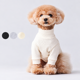 グンゼ パッチジャカード Tシャツ 小型犬 綿100% 犬服 ペット服 ペットウェア ドッグウェア 男の子 女の子 おしゃれ GARRR