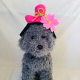 ウィズワン お内裏様 お雛様 なりきりカチューシャ ウィッグ アクセサリー  被り物 ひな祭り 撮影小物 イベント 犬 猫 男の子 女の子 おしゃれ with WaN