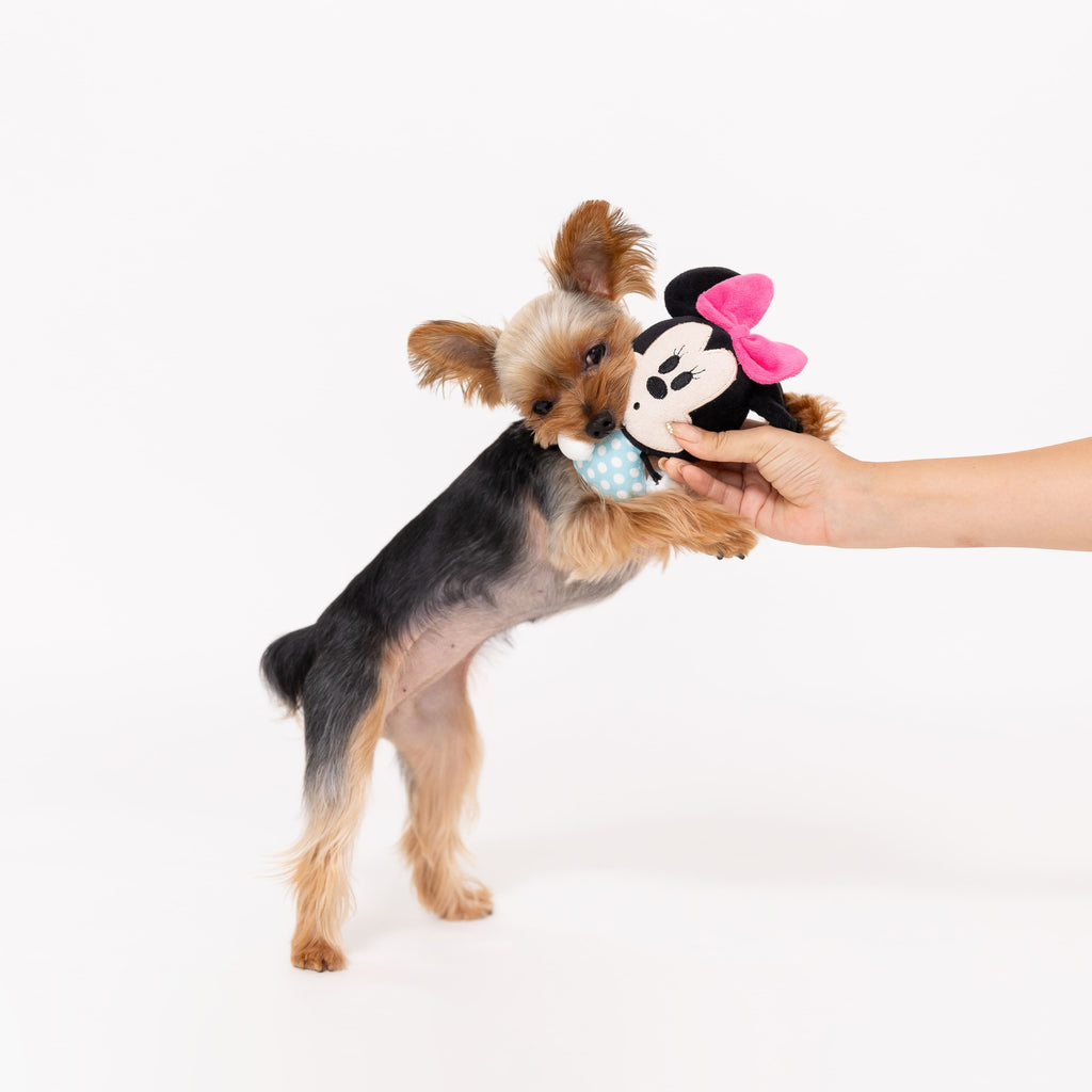 ディズニー ミッキー ぷらぷらトイ おもちゃ ドッグトイ 犬服 男の子 女の子 おしゃれ Disney