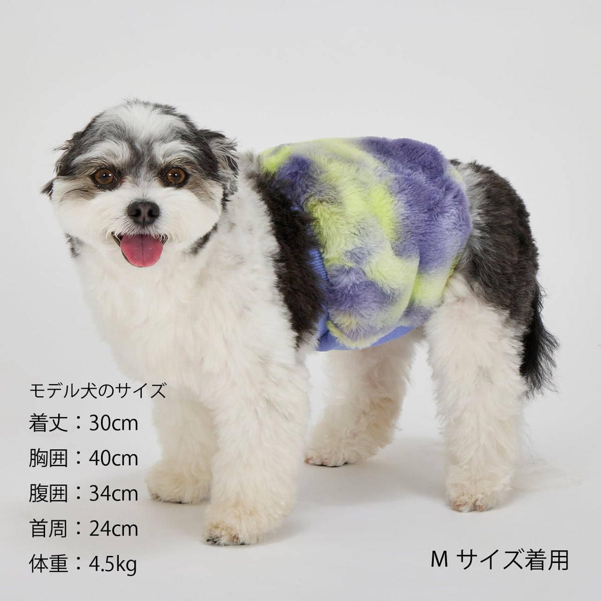 NEW マンダリンブラザーズ はらまき ファーリーベリーウォーマー 腹巻 防寒 腸活 ドッグウェア 犬服 男の子 女の子 おしゃれ MANDARINE BROTHERS