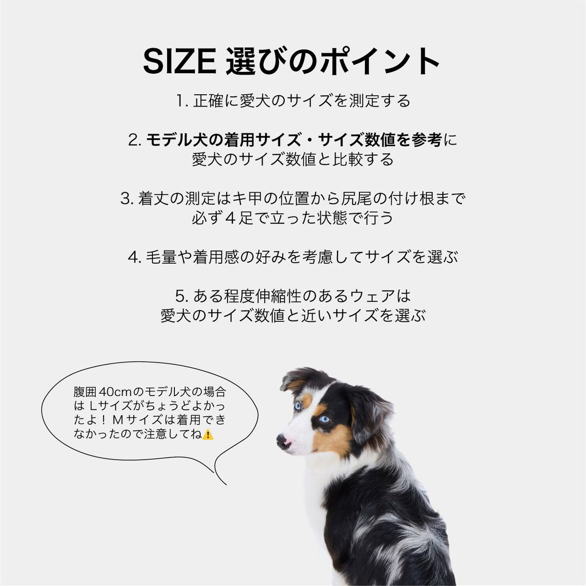 NEW マンダリンブラザーズ はらまき ファーリーベリーウォーマー 腹巻 防寒 腸活 ドッグウェア 犬服 男の子 女の子 おしゃれ MANDARINE BROTHERS