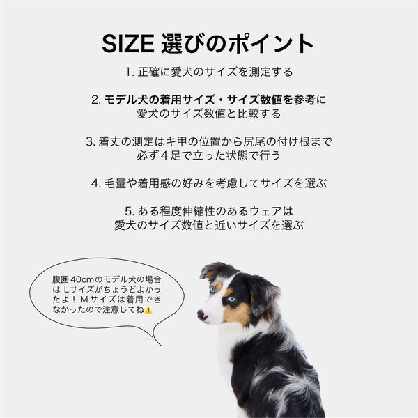NEW マンダリンブラザーズ はらまき ファーリーベリーウォーマー 腹巻 防寒 腸活 ドッグウェア 犬服 男の子 女の子 おしゃれ MANDARINE BROTHERS
