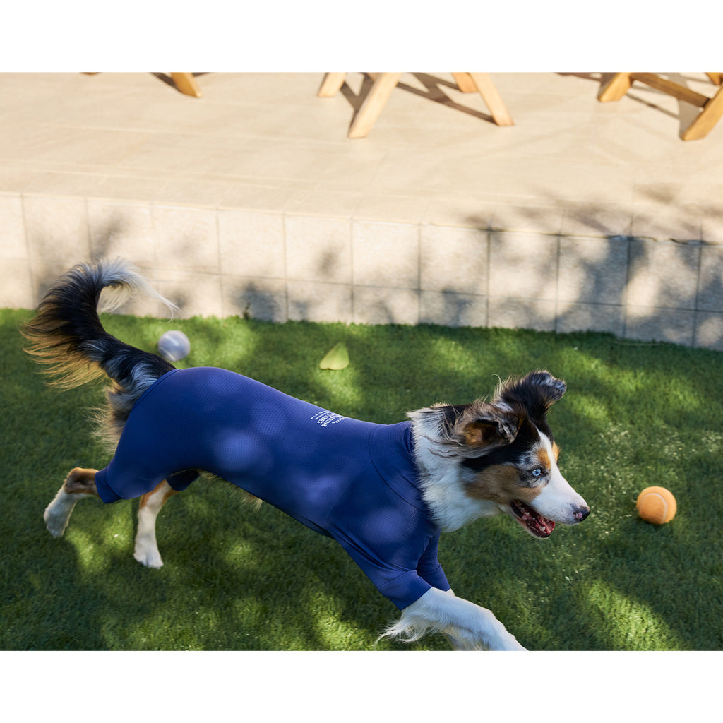 マンダリンブラザーズ 接触冷感 防虫 インセクトシールドスキンタイトスーツ クール ロンパース ドッグウェア 犬服 男の子 女の子 おしゃれ MANDARINE BROTHERS