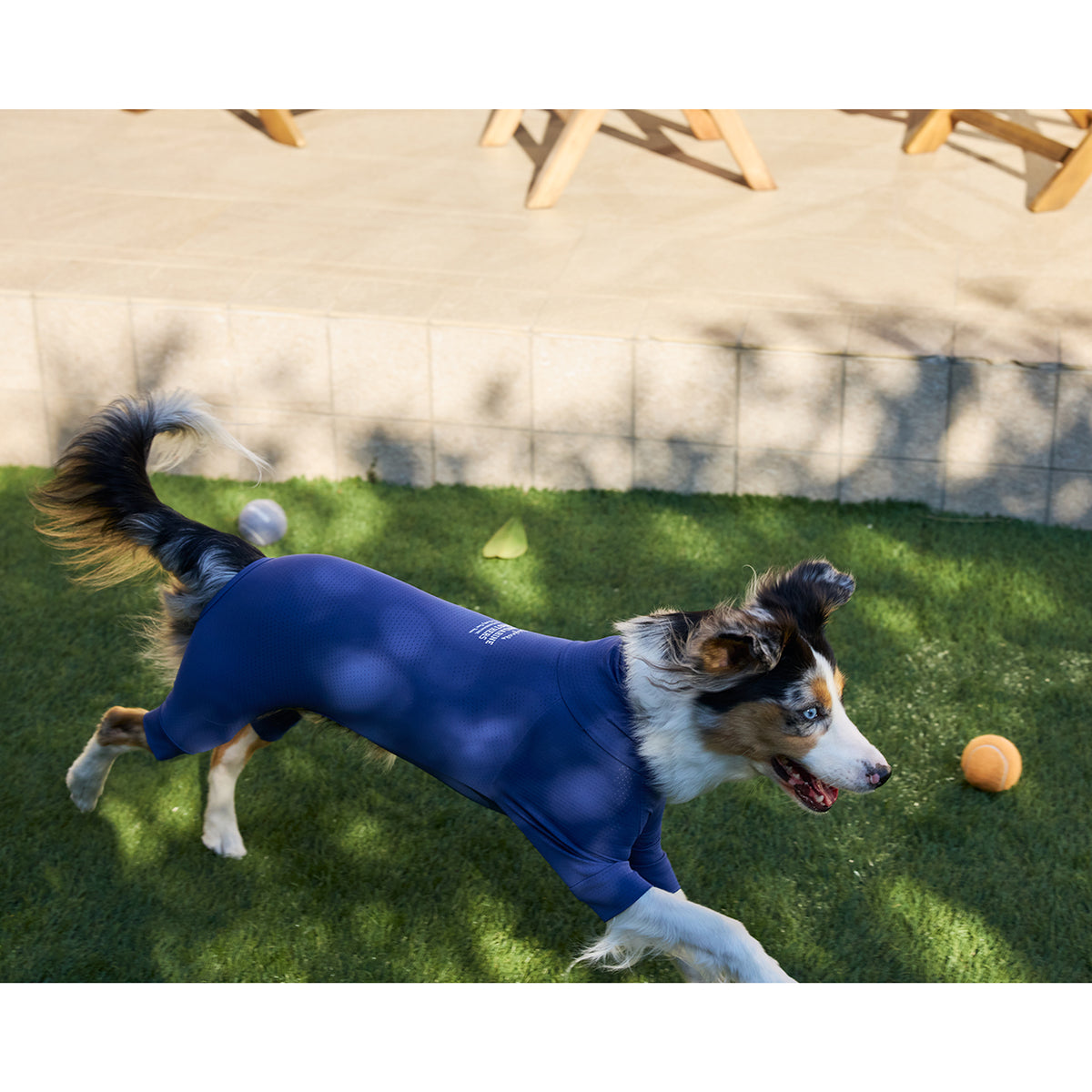 マンダリンブラザーズ 接触冷感 防虫 インセクトシールドスキンタイトスーツ クール ロンパース ドッグウェア 犬服 男の子 女の子 おしゃれ MANDARINE BROTHERS