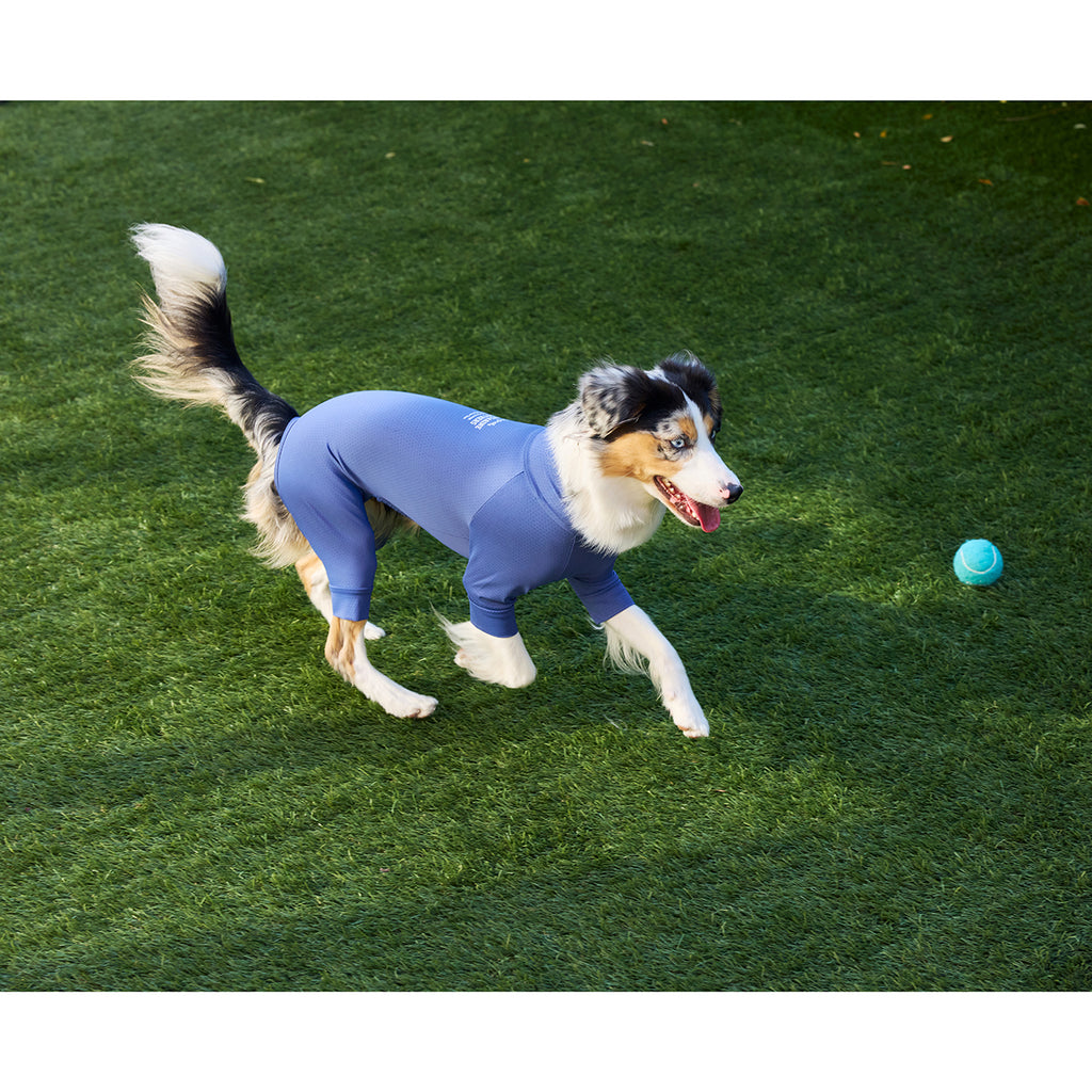 マンダリンブラザーズ 接触冷感 防虫 インセクトシールドスキンタイトスーツ クール ロンパース ドッグウェア 犬服 男の子 女の子 おしゃれ MANDARINE BROTHERS