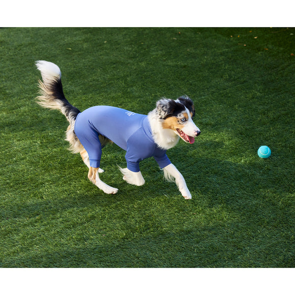 マンダリンブラザーズ 接触冷感 防虫 インセクトシールドスキンタイトスーツ クール ロンパース ドッグウェア 犬服 男の子 女の子 おしゃれ MANDARINE BROTHERS
