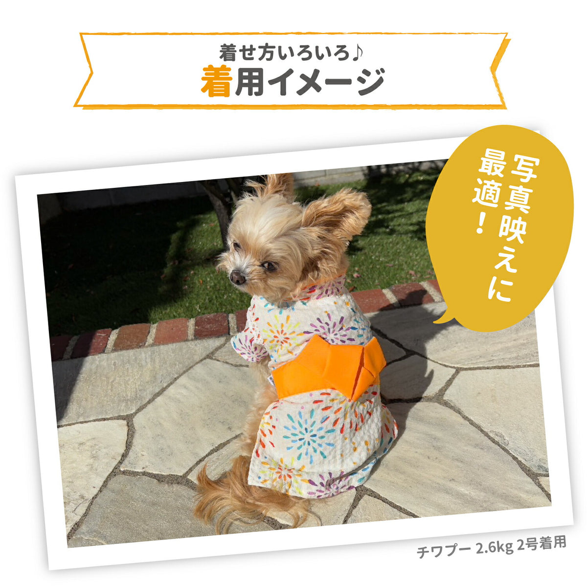 セール ピピ 花火 甚平 浴衣 ドッグウェア ゆかた 着物 花火 春 夏 春夏 お祭り 夏祭り イベント 着脱簡単 犬服 男の子 女の子 おしゃれ PIPI