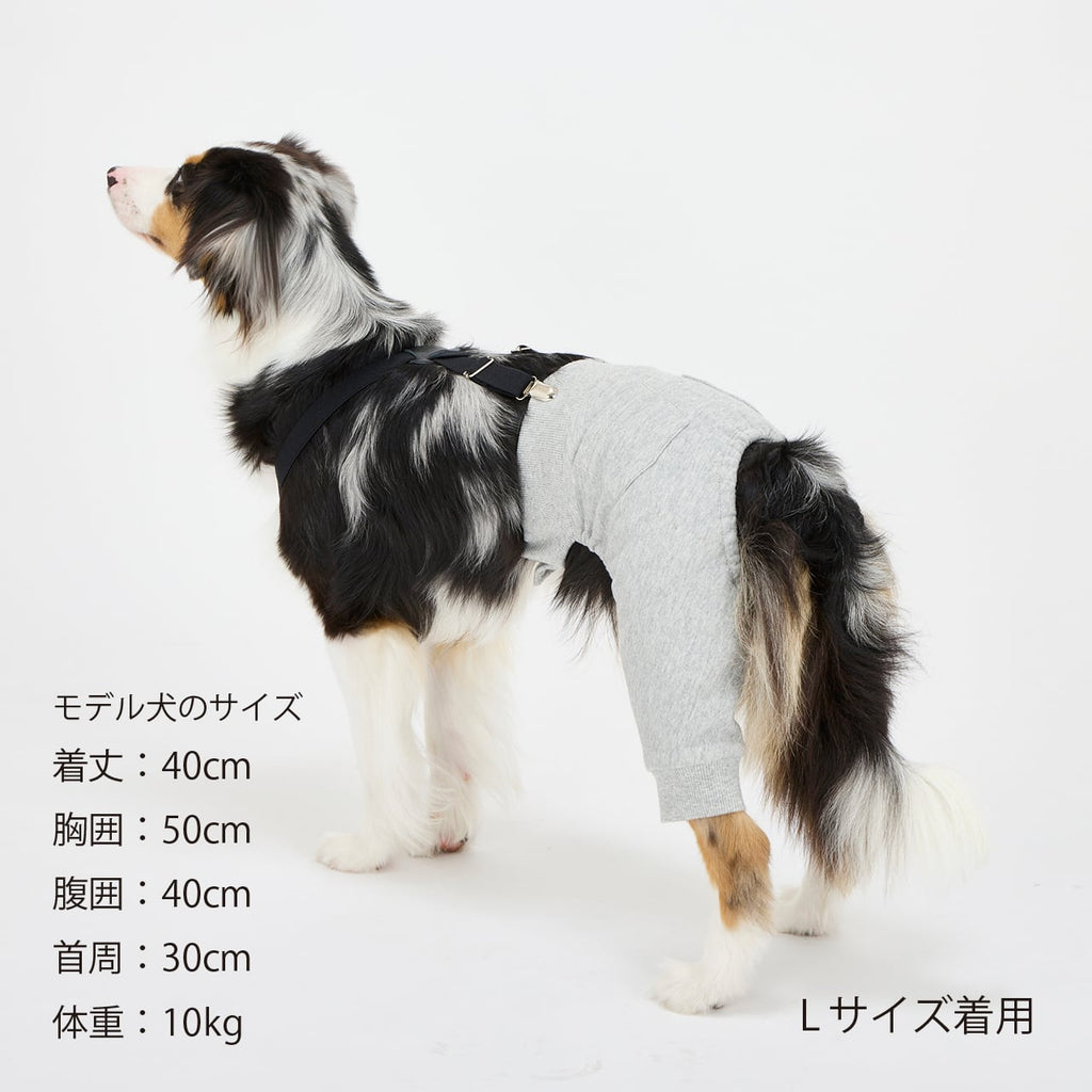NEW マンダリンブラザーズ サスペンダーパンツ スウェットパンツ 本革 背あて レイヤードスタイル ドッグウェア 冬 男の子 女の子 おしゃれ MANDARINE BROTHERS