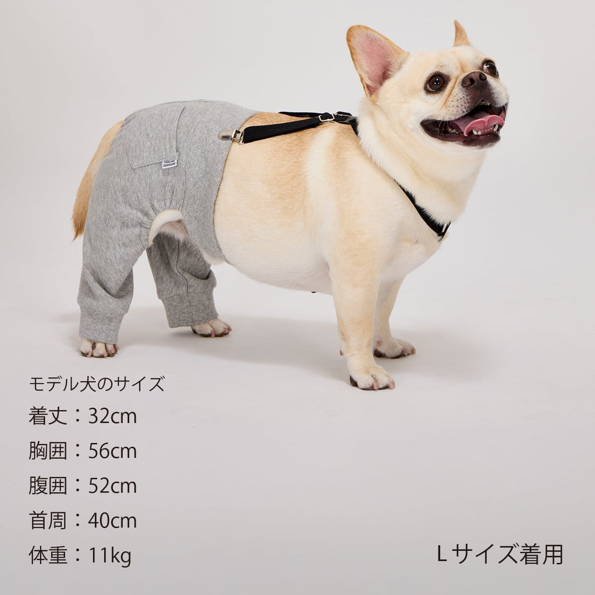 NEW マンダリンブラザーズ サスペンダーパンツ スウェットパンツ 本革 背あて レイヤードスタイル ドッグウェア 冬 男の子 女の子 おしゃれ MANDARINE BROTHERS