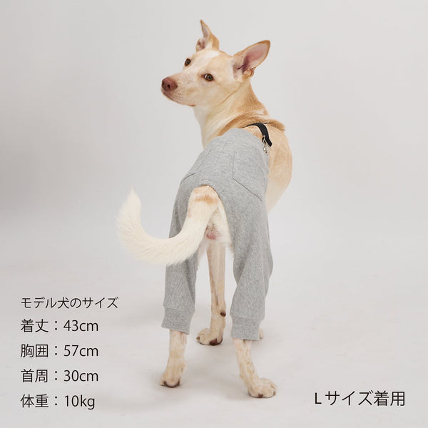 NEW マンダリンブラザーズ サスペンダーパンツ スウェットパンツ 本革 背あて レイヤードスタイル ドッグウェア 冬 男の子 女の子 おしゃれ MANDARINE BROTHERS