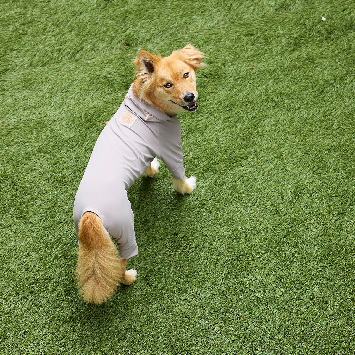 マンダリンブラザーズ 撥水 UVカット ウォーターリペレントスキンタイトスーツ ロンパース ドッグウェア ラッシュガード 犬服 男の子 女の子 おしゃれ MANDARINE BROTHERS
