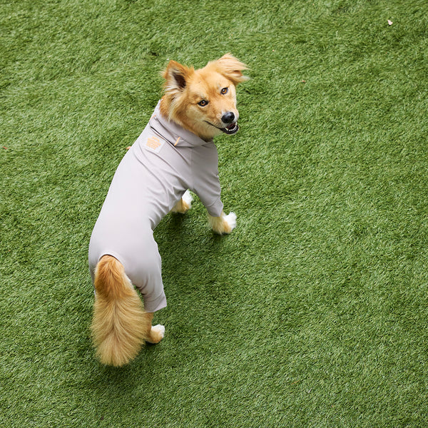 マンダリンブラザーズ 撥水 UVカット ウォーターリペレントスキンタイトスーツ ロンパース ドッグウェア ラッシュガード 犬服 男の子 女の子 おしゃれ MANDARINE BROTHERS