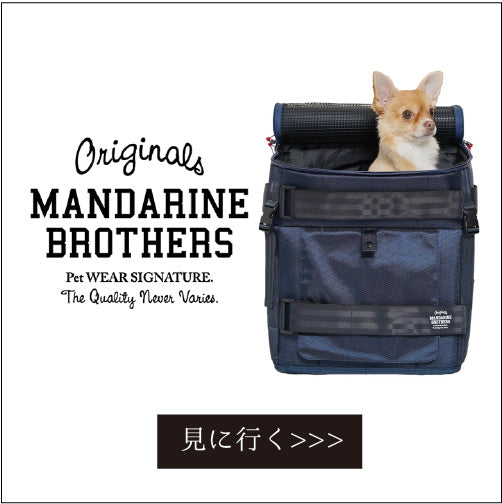 ネイバーフッドワンちゃんセット GALFY ガルフィー 結局兄ちゃん SETUP セットアップ 上下セット