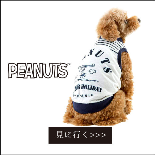 犬服♡まゆ PET FiND 犬 服 春夏 韓国風 くまちゃん柄 涼しい カットソー