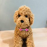 ウィズワン 愛犬のお名前入り うちの子 チョーカー ハンドメイド 手作り 犬 猫 男の子 女の子 おしゃれ with WaN