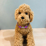 ウィズワン 愛犬のお名前入り うちの子 チョーカー ハンドメイド 手作り 犬 猫 男の子 女の子 おしゃれ with WaN