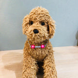 ウィズワン 愛犬のお名前入り うちの子 チョーカー ハンドメイド 手作り 犬 猫 男の子 女の子 おしゃれ with WaN