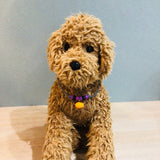 ウィズワン ハロウィン チョーカー ハロウィーン かぼちゃ ハンドメイド 手作り 犬 猫 男の子 女の子 おしゃれ with WaN