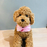 ウィズワン ハロウィン バンダナ スカーフ アクセサリー イベント ハンドメイド 手作り 犬 猫 男の子 女の子 おしゃれ with WaN
