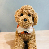 ウィズワン ハロウィン バンダナ スカーフ アクセサリー イベント ハンドメイド 手作り 犬 猫 男の子 女の子 おしゃれ with WaN