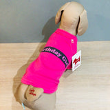 セール ウィズワン 誕生日 Tシャツ 国産 イベント コスプレ かわいい バースデー 犬服 男の子 女の子 おしゃれ with WaN