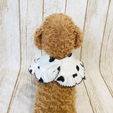 ウィズワン フリルスタイ ケープ つけ襟 バンダナスタイ イベント アクセサリー 小型犬 犬 猫 男の子 女の子 おしゃれ with WaN