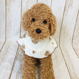 ウィズワン フリルスタイ ケープ つけ襟 バンダナスタイ イベント アクセサリー 小型犬 犬 猫 男の子 女の子 おしゃれ with WaN