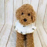 ウィズワン フリルスタイ ケープ つけ襟 バンダナスタイ イベント アクセサリー 小型犬 犬 猫 男の子 女の子 おしゃれ with WaN