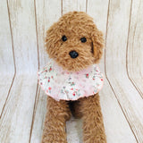 ウィズワン フリルスタイ ケープ つけ襟 バンダナスタイ イベント アクセサリー 小型犬 犬 猫 男の子 女の子 おしゃれ with WaN