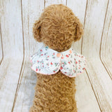 ウィズワン フリルスタイ ケープ つけ襟 バンダナスタイ イベント アクセサリー 小型犬 犬 猫 男の子 女の子 おしゃれ with WaN