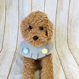 ウィズワン ぽんぽんフリルスタイ ケープ つけ襟 バンダナスタイ イベント アクセサリー 小型犬 犬 猫 男の子 女の子 おしゃれ with WaN