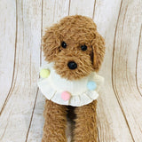 ウィズワン ぽんぽんフリルスタイ ケープ つけ襟 バンダナスタイ イベント アクセサリー 小型犬 犬 猫 男の子 女の子 おしゃれ with WaN