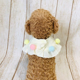 ウィズワン ぽんぽんフリルスタイ ケープ つけ襟 バンダナスタイ イベント アクセサリー 小型犬 犬 猫 男の子 女の子 おしゃれ with WaN
