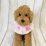 ウィズワン ぽんぽんフリルスタイ ケープ つけ襟 バンダナスタイ イベント アクセサリー 小型犬 犬 猫 男の子 女の子 おしゃれ with WaN