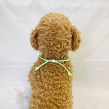 ウィズワン お名前入り うちの子光るチョーカー ハンドメイド  愛犬のお名前入り 手作り 犬 猫 男の子 女の子 おしゃれ with WaN