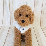 ウィズワン パジャマ 着る毛布 ベスト リバーシブル らくらく 簡単 ハンドメイド 秋冬 犬服 男の子 女の子 おしゃれ with WaN