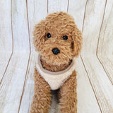 ウィズワン 愛犬のお名前入り シャギーベスト 犬服 防寒 かわいい くま テディベア 男の子 女の子 おしゃれ with WaN