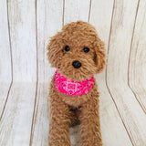 ウィズワン ネッククーラー バンダナ スカーフ ハンドメイド 熱中症 手作り 男の子 女の子 おしゃれ with WaN