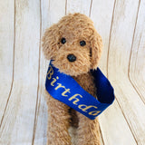 ウィズワン 撮影小物 ハンドメイド 犬 襷 タスキ たすき 誕生日 パーティー イベント コスプレ 猫 犬服 おしゃれ 男の子 女の子 with WaN