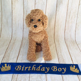 ウィズワン 撮影小物 ハンドメイド 犬 襷 タスキ たすき 誕生日 パーティー イベント コスプレ 猫 犬服 おしゃれ 男の子 女の子 with WaN