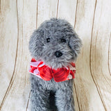 ウィズワン なりきり鯉のぼり ケープ ハンドメイド 犬 ポンチョ マント こどもの日 イベント 猫 犬服 おしゃれ 男の子 女の子 with WaN