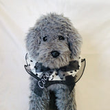 ウィズワン お名前入り うちの子スタイ つけ襟 ビブ アクセサリー 愛犬のお名前入り ハンドメイド 手作り 犬 猫 男の子 女の子 おしゃれ with WaN