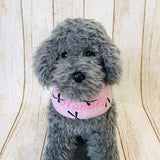 ウィズワン 愛犬のお名前入り ネッククーラー バンダナ うちの子 ハンドメイド 犬 猫 クール 熱中症対策 男の子 女の子 おしゃれ with WaN
