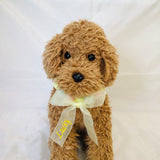 ウィズワン お名前入り うちの子 ボンボンチョーカー ぽんぽん アクセサリー 愛犬のお名前入り ハンドメイド 手作り 犬 猫 男の子 女の子 おしゃれ with WaN